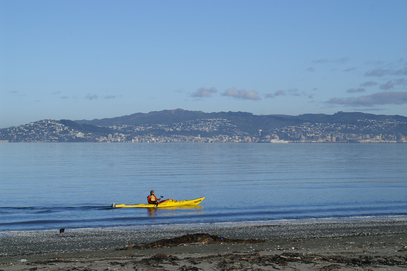 PICT7442_kayaker with Wellington in the backround